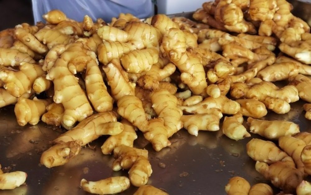 Brazilian Ginger Suppliers in Kissimmee, FL